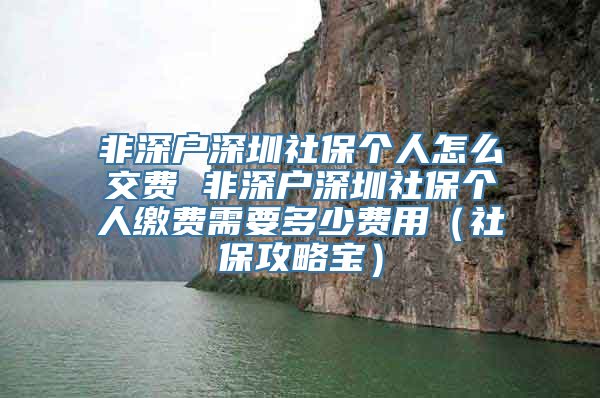 非深户深圳社保个人怎么交费 非深户深圳社保个人缴费需要多少费用（社保攻略宝）