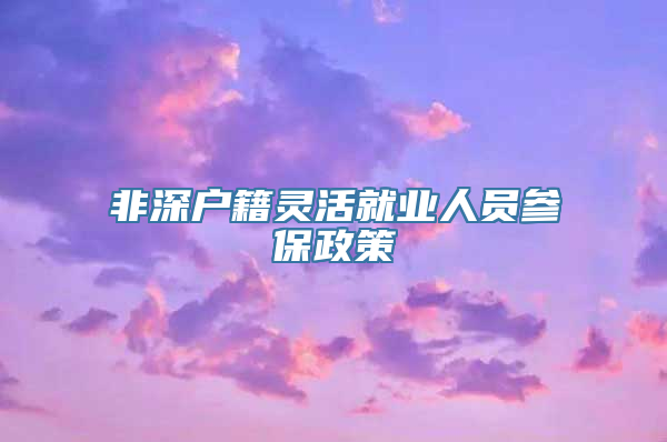 非深户籍灵活就业人员参保政策