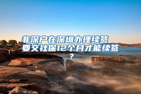 非深户在深圳办理续签  要交社保12个月才能续签？