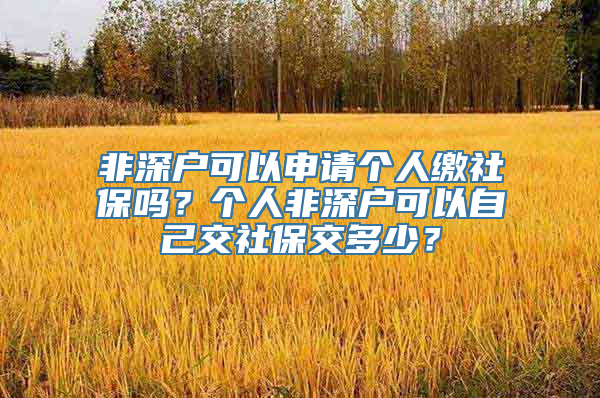 非深户可以申请个人缴社保吗？个人非深户可以自己交社保交多少？