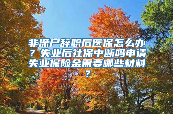 非深户辞职后医保怎么办？失业后社保中断吗申请失业保险金需要哪些材料？