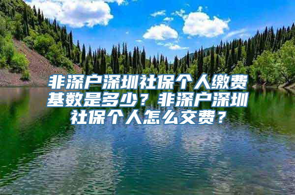 非深户深圳社保个人缴费基数是多少？非深户深圳社保个人怎么交费？