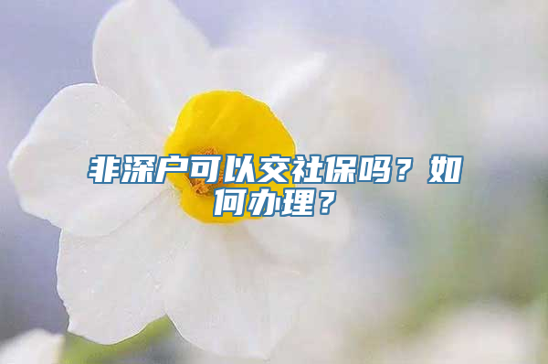 非深户可以交社保吗？如何办理？