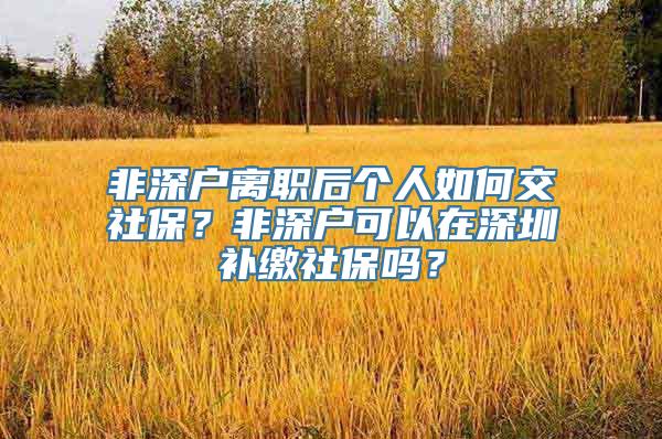 非深户离职后个人如何交社保？非深户可以在深圳补缴社保吗？