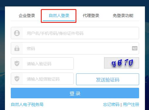 自然人登陆