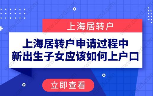 上海居转户申请过程中,新出生子女应该如何上户口