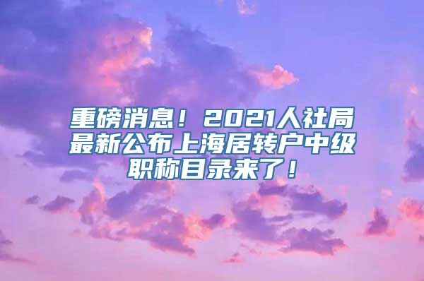 重磅消息！2021人社局最新公布上海居转户中级职称目录来了！