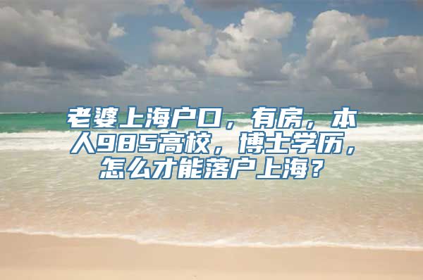 老婆上海户口，有房，本人985高校，博士学历，怎么才能落户上海？