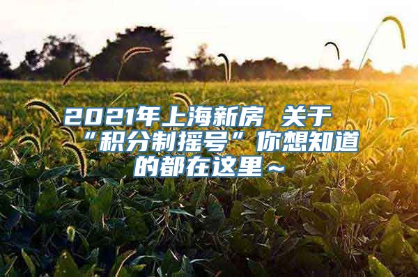 2021年上海新房 关于“积分制摇号”你想知道的都在这里～