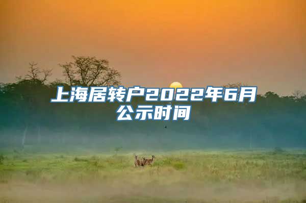 上海居转户2022年6月公示时间