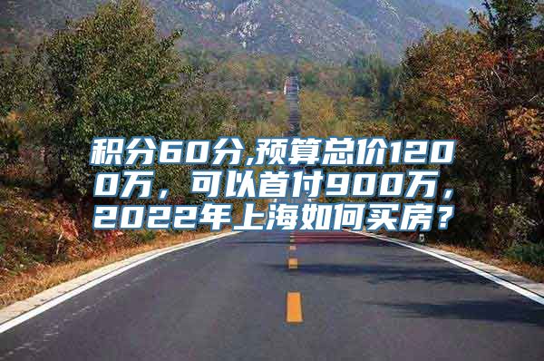 积分60分,预算总价1200万，可以首付900万，2022年上海如何买房？