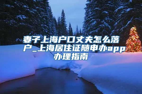 妻子上海户口丈夫怎么落户_上海居住证随申办app办理指南