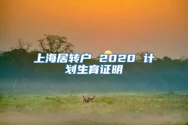 上海居转户 2020 计划生育证明