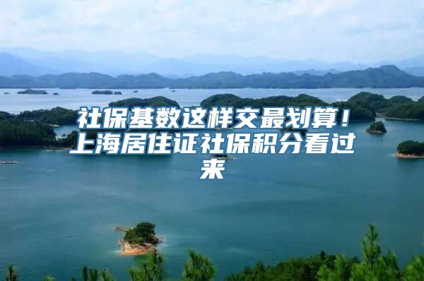 社保基数这样交最划算！上海居住证社保积分看过来