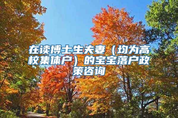 在读博士生夫妻（均为高校集体户）的宝宝落户政策咨询