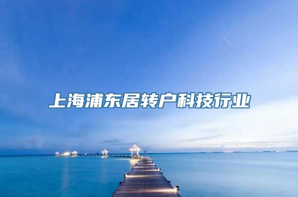 上海浦东居转户科技行业