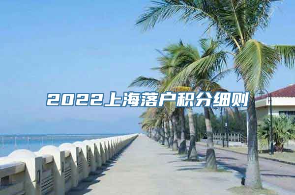 2022上海落户积分细则