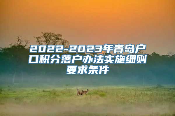 2022-2023年青岛户口积分落户办法实施细则要求条件