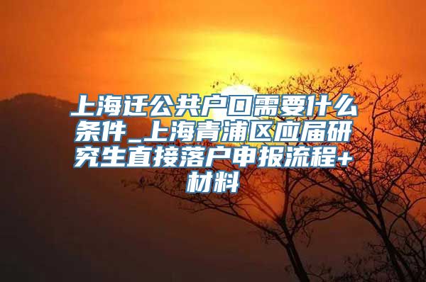 上海迁公共户口需要什么条件_上海青浦区应届研究生直接落户申报流程+材料