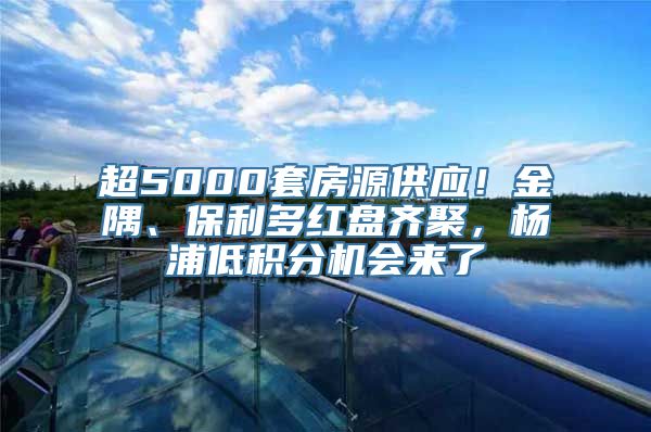 超5000套房源供应！金隅、保利多红盘齐聚，杨浦低积分机会来了