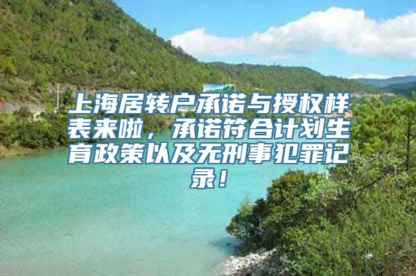 上海居转户承诺与授权样表来啦，承诺符合计划生育政策以及无刑事犯罪记录！