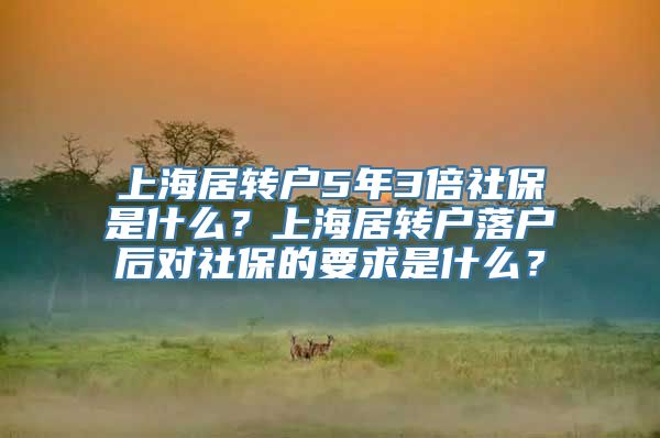 上海居转户5年3倍社保是什么？上海居转户落户后对社保的要求是什么？