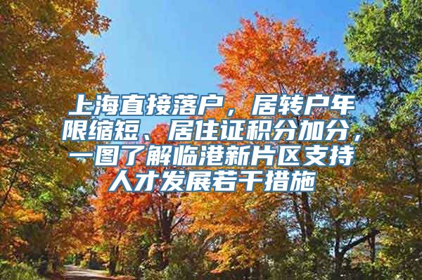 上海直接落户，居转户年限缩短、居住证积分加分，一图了解临港新片区支持人才发展若干措施