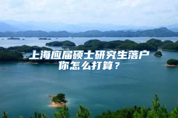 上海应届硕士研究生落户你怎么打算？