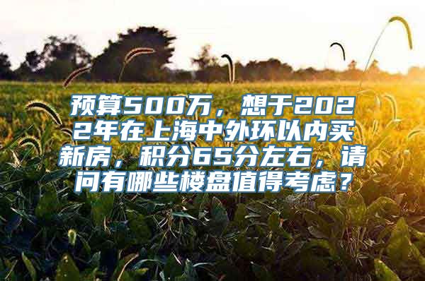 预算500万，想于2022年在上海中外环以内买新房，积分65分左右，请问有哪些楼盘值得考虑？