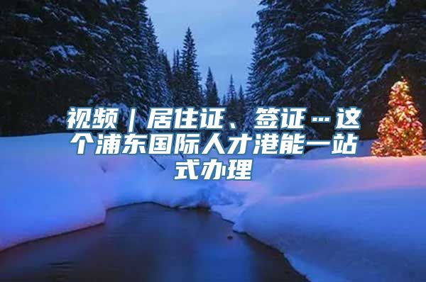 视频｜居住证、签证…这个浦东国际人才港能一站式办理