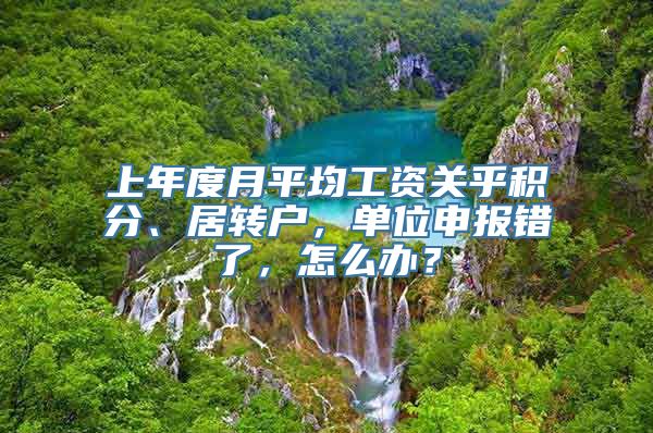 上年度月平均工资关乎积分、居转户，单位申报错了，怎么办？