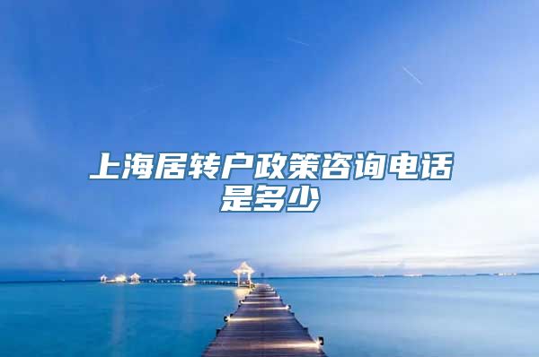 上海居转户政策咨询电话是多少