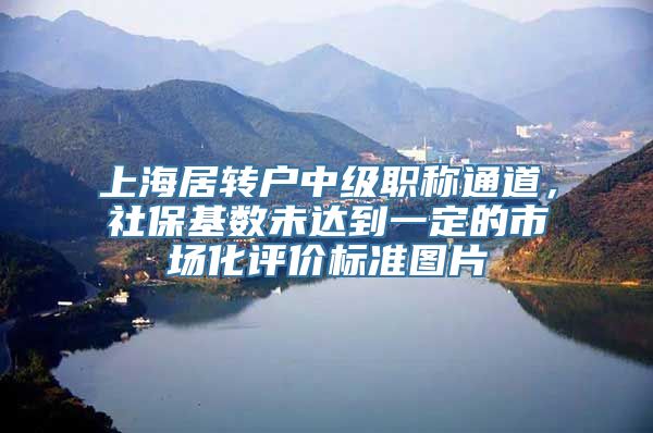 上海居转户中级职称通道，社保基数未达到一定的市场化评价标准图片