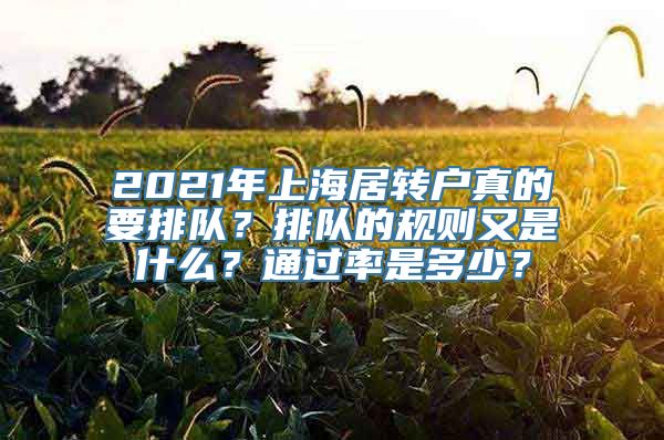 2021年上海居转户真的要排队？排队的规则又是什么？通过率是多少？