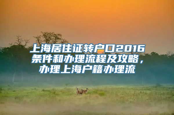 上海居住证转户口2016条件和办理流程及攻略，办理上海户籍办理流