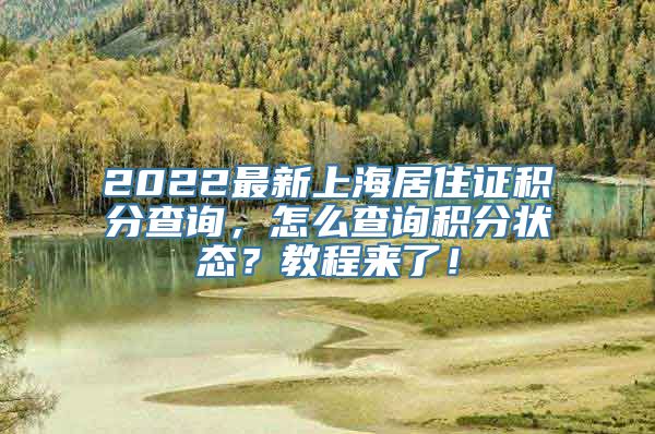 2022最新上海居住证积分查询，怎么查询积分状态？教程来了！