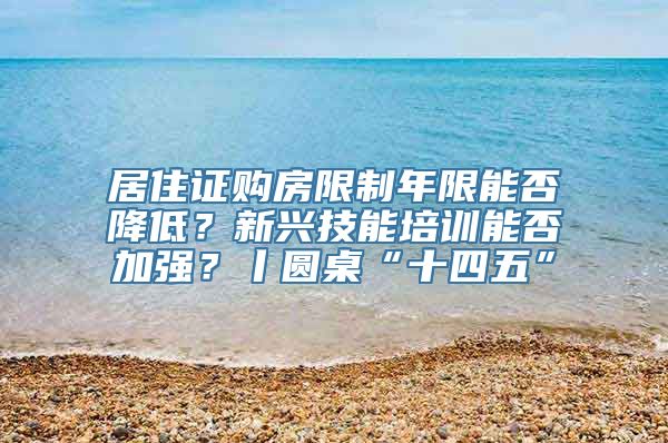 居住证购房限制年限能否降低？新兴技能培训能否加强？丨圆桌“十四五”