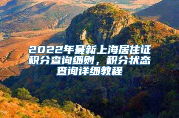 2022年最新上海居住证积分查询细则，积分状态查询详细教程