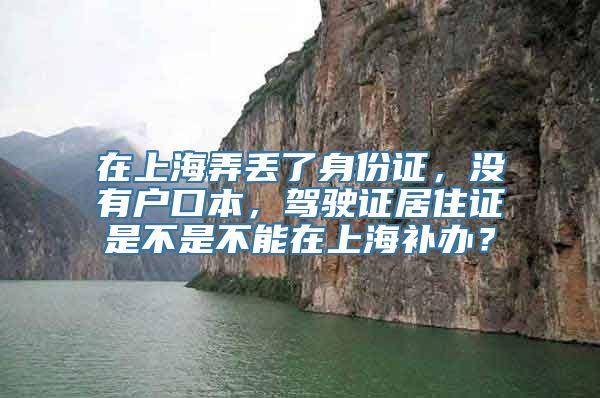 在上海弄丢了身份证，没有户口本，驾驶证居住证是不是不能在上海补办？