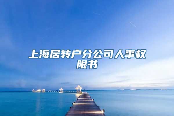 上海居转户分公司人事权限书