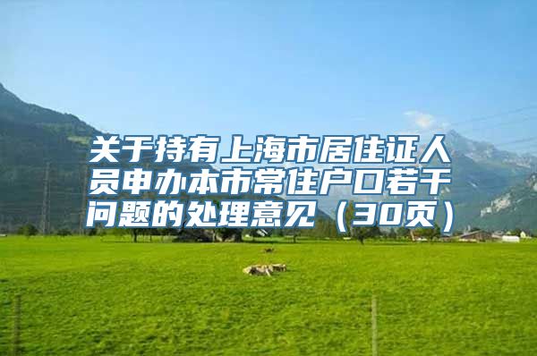 关于持有上海市居住证人员申办本市常住户口若干问题的处理意见（30页）