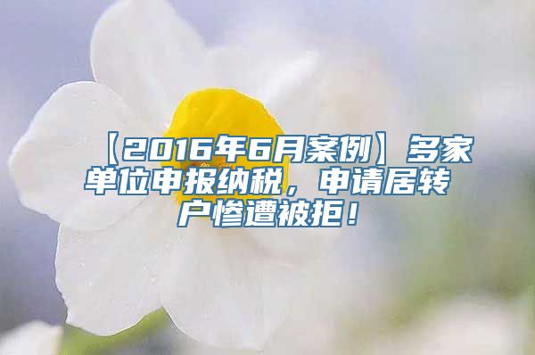 【2016年6月案例】多家单位申报纳税，申请居转户惨遭被拒！