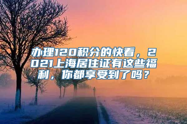 办理120积分的快看，2021上海居住证有这些福利，你都享受到了吗？