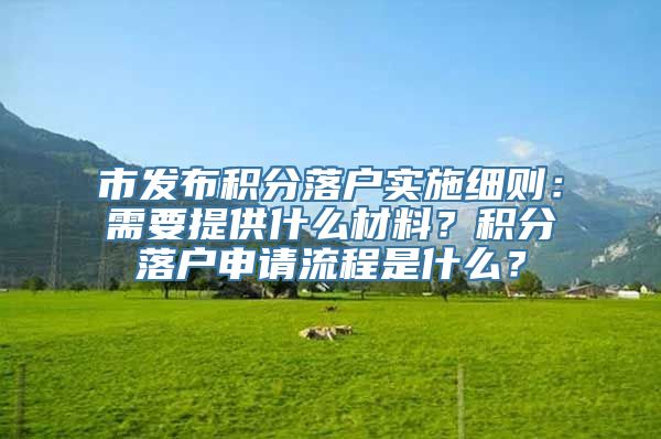 市发布积分落户实施细则：需要提供什么材料？积分落户申请流程是什么？