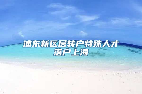 浦东新区居转户特殊人才落户上海