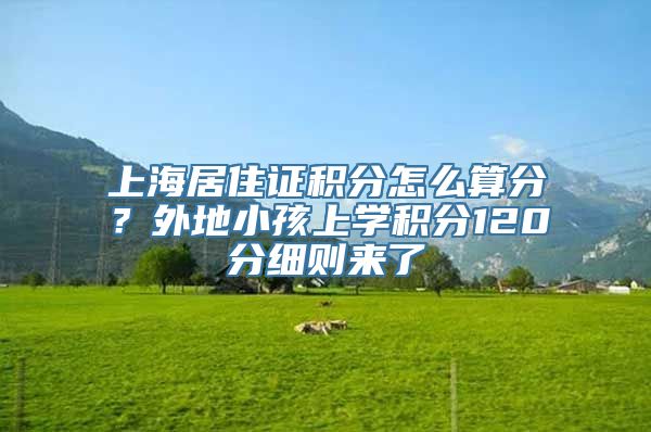 上海居住证积分怎么算分？外地小孩上学积分120分细则来了