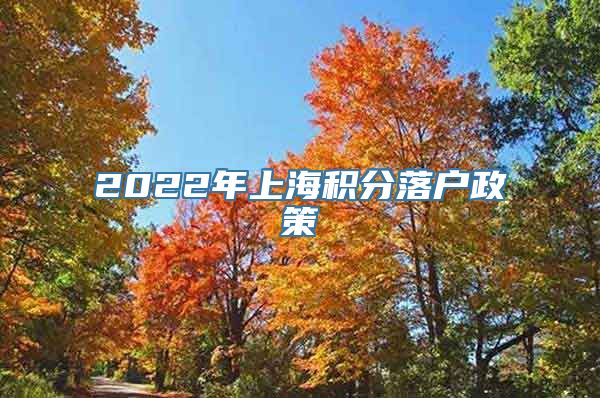 2022年上海积分落户政策