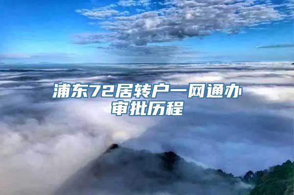 浦东72居转户一网通办审批历程