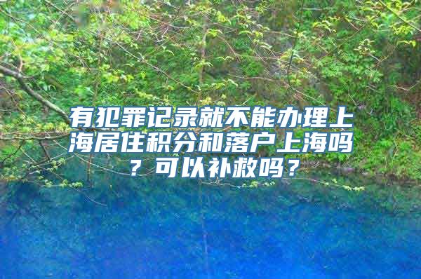 有犯罪记录就不能办理上海居住积分和落户上海吗？可以补救吗？