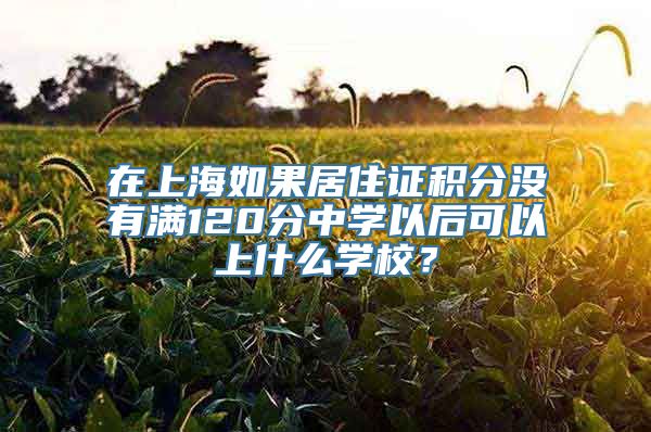 在上海如果居住证积分没有满120分中学以后可以上什么学校？